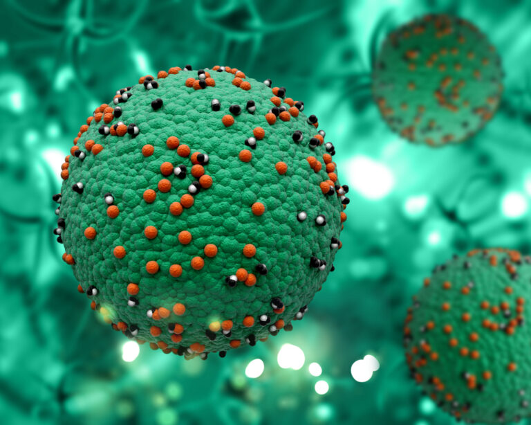 Norovirus
