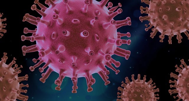 Human metapneumovirus